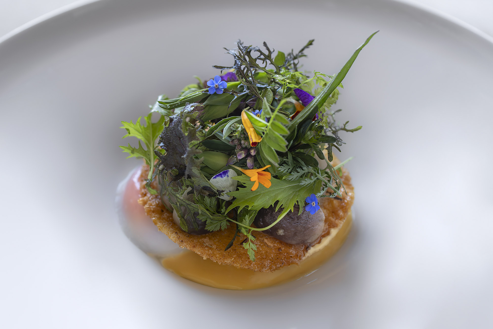 Piatto AMAPAMA con erbe spontanee e fiori di montagna